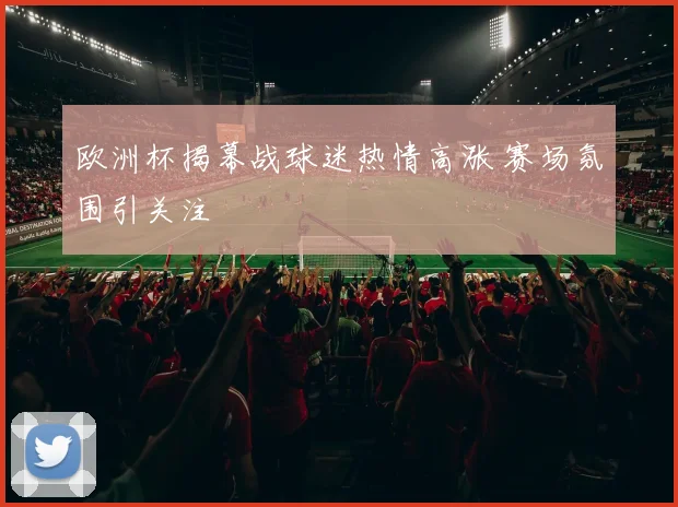 欧洲杯揭幕战球迷热情高涨 赛场氛围引关注