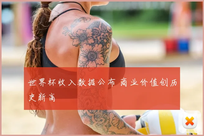 世界杯收入数据公布 商业价值创历史新高