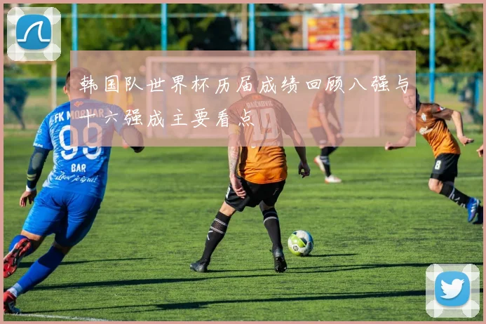 韩国队世界杯历届成绩回顾八强与十六强成主要看点