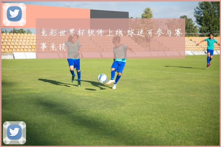 竞彩世界杯软件上线 球迷可参与赛事竞猜