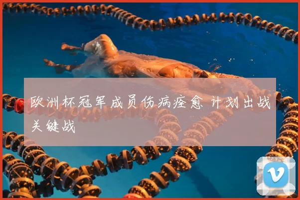 欧洲杯冠军成员伤病痊愈 计划出战关键战