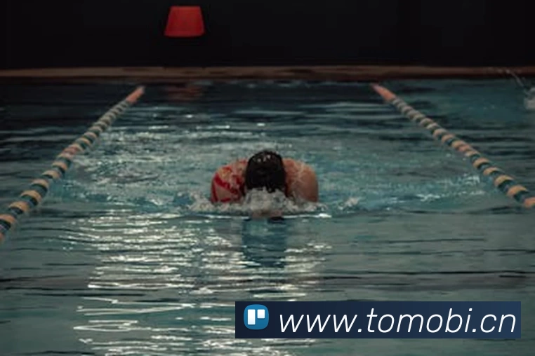 世界杯官方网页版 - 世界杯(中国)平台生态图