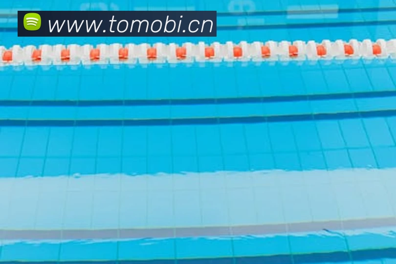 奖项证书